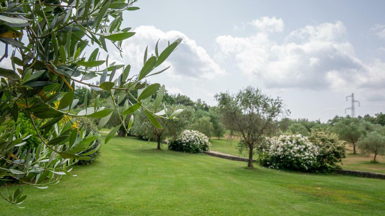 Poggio Al Palio Aparthotel San Lorenzo a Merse Exterior foto